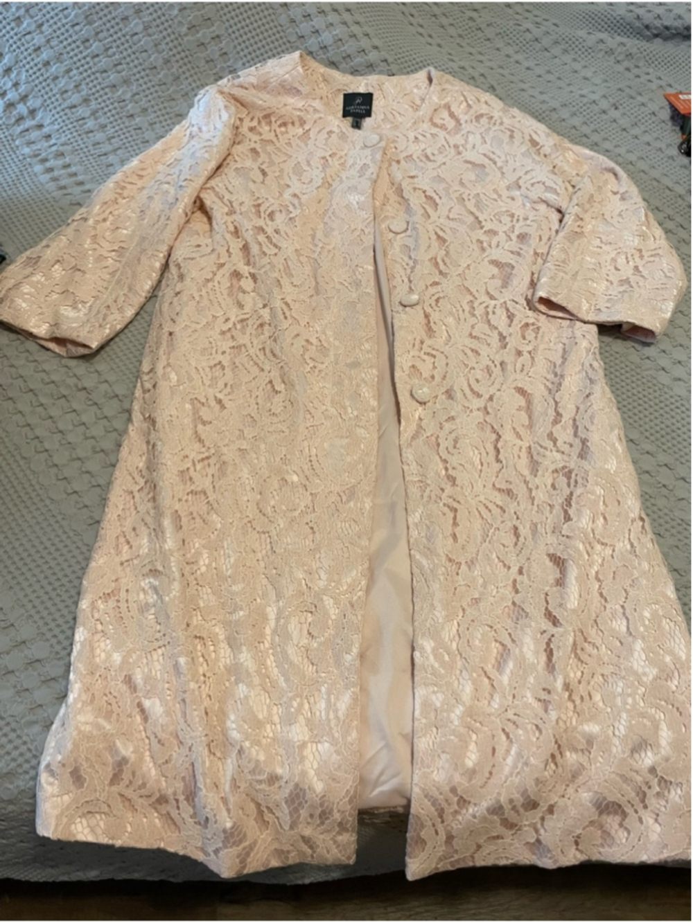 Adrianna Papell vintage Pale Blush Lace Coat Dress